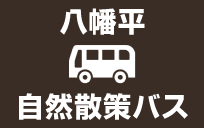【八幡平頂上へ行くなら♪】八幡平自然散策バスのご案内