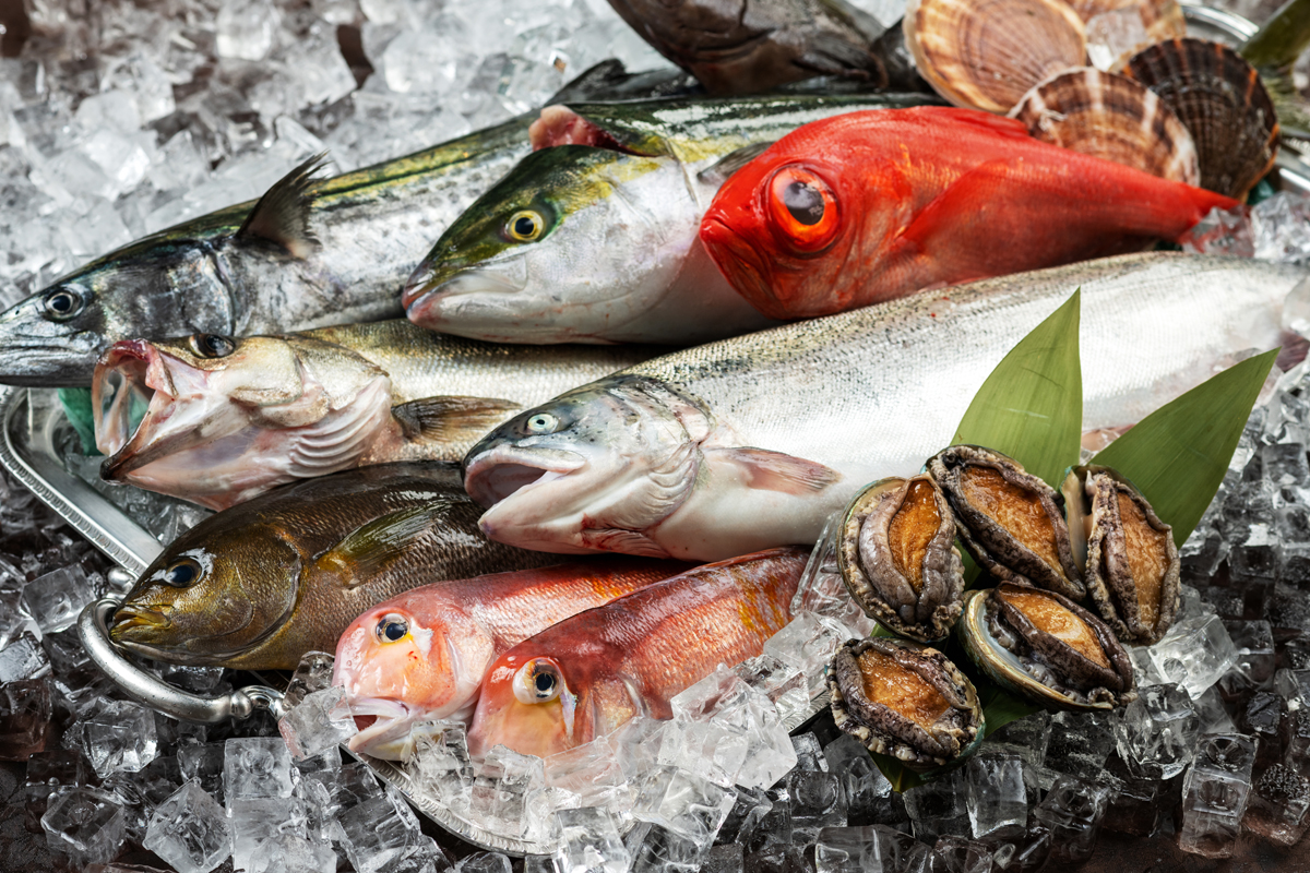 食材　新鮮魚介