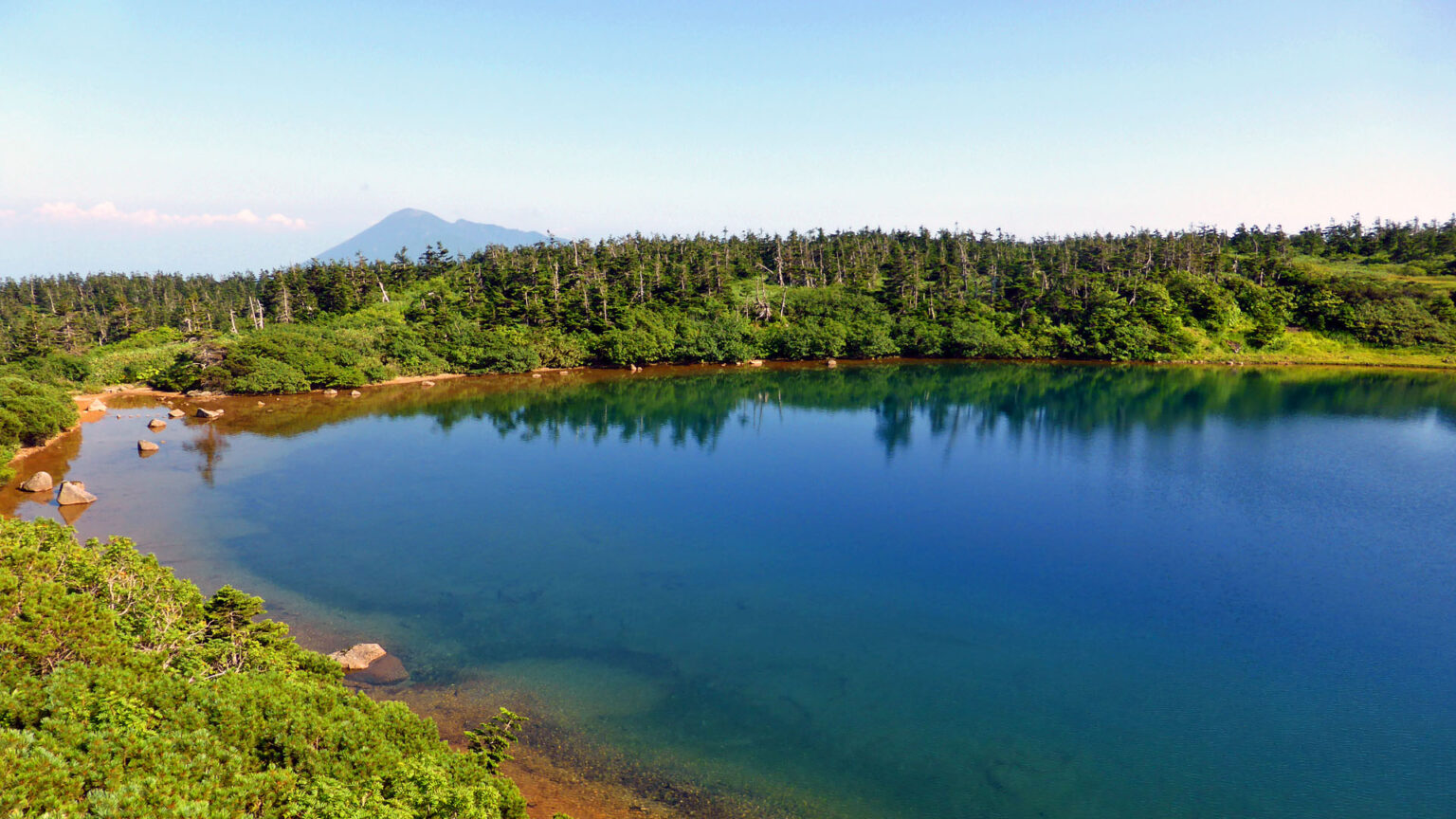 ガマ沼と岩手山